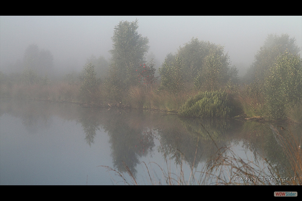 1464-4038 Engbertsdijksvenen&mist=17-8-16