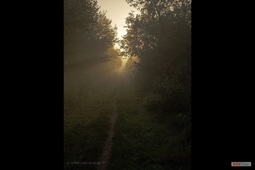 1466-4017 Engbertsdijksvenen&mist=17-8-16